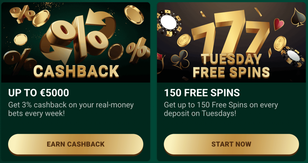Bonuses and Promotions in Richard Casino